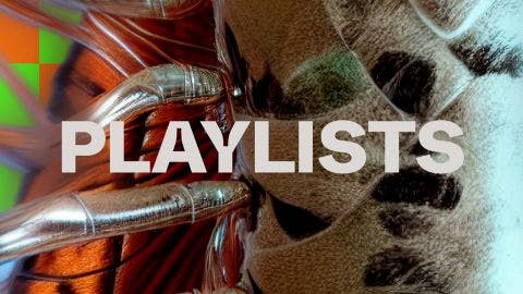 OFFICIAL PLAYLISTS